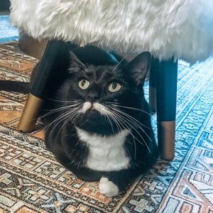 Meet your Posher, Jac